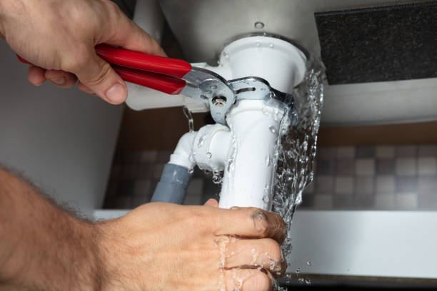 Best Mold removal after water damage  in Basin, WY