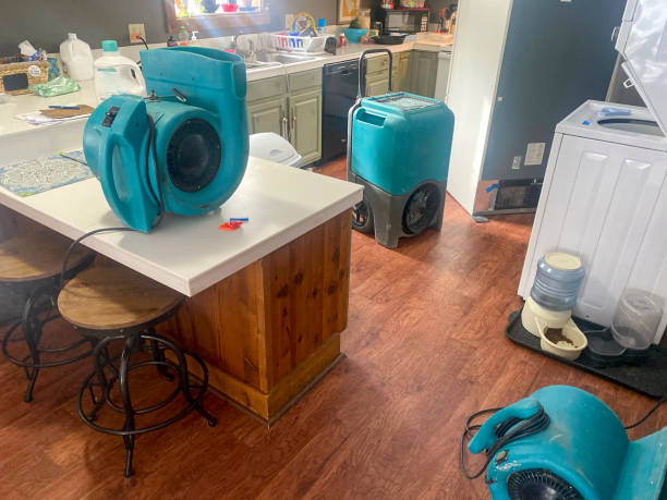 Best Water damage cleanup near me  in Basin, WY