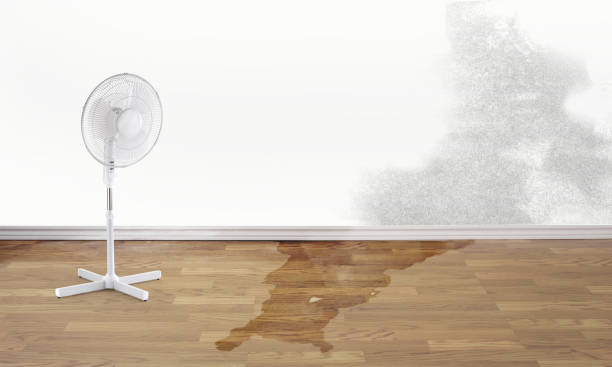 Best Water damage restoration near me  in Basin, WY