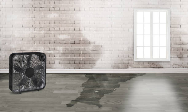 Water damage restoration process in WY