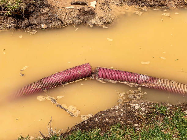 Best Water damage repair service  in Basin, WY