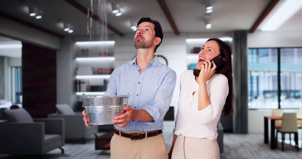 Best Flood damage cleanup  in Basin, WY