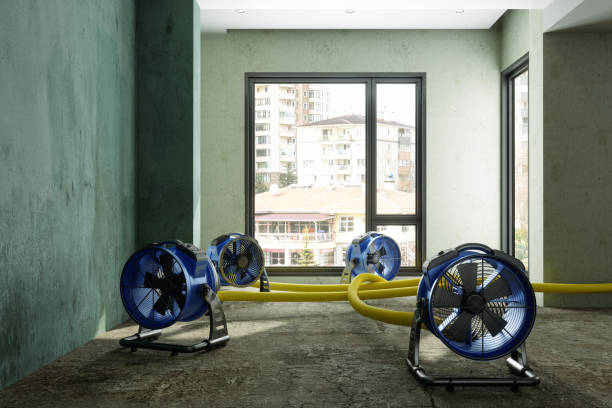 Best Fire Damage Restoration  in Basin, WY